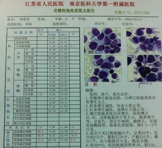 9岁郑嘉奇超高危急性淋巴细胞白血病急需救助