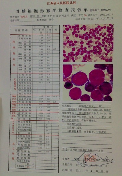 江苏省人民医院儿科骨髓细胞形态学检查报告单